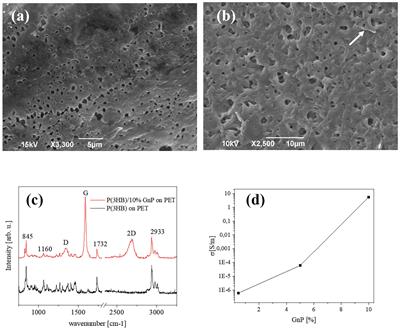 Graphene Nanoplatelets Render Poly(3-Hydroxybutyrate) a Suitable Scaffold to Promote Neuronal Network Development